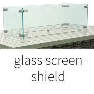 Glass Screen Shield